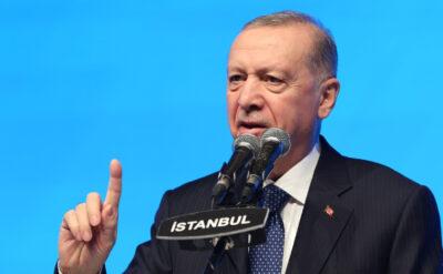 Erdoğan’dan ‘sokak köpekleri’ çıkışı: Çözüme kavuşturacağız