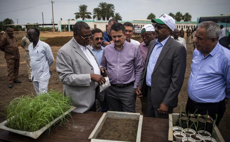 Sudan'da tarım için 5 yılda 7 milyon lira harcandı, 1 kilo bile domates alınamadı