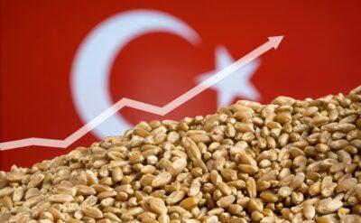 Türkiye tahıl ithalatında bu yıl rekor kıracak