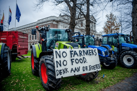 Azot savaşları: Hollanda'da değişimin habercisi ayaklanan çiftçilerdi