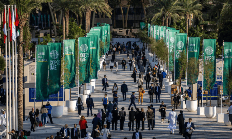 Cop28'de Suudi engeli: Fosil yakıtı konuşmak bile istemiyor