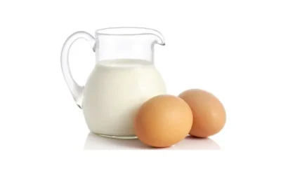 Süt ve yumurta üretimi ekimde sevindirdi