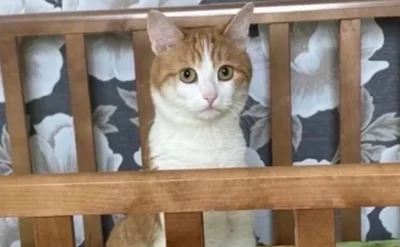 ‘Bunu da yaşamadık’ demeyiz: Nitrojenli idamdan beden dondurucuya haftanın en tuhaf 10 haberi