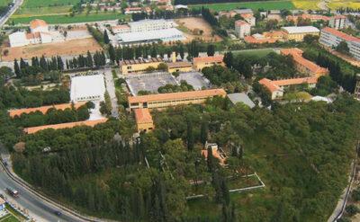 İzmir’de ‘BAL’ kavgası: Okulumuzun bahçesindeki ağaçları kesmeyin!