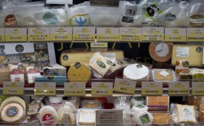 Japonya ümidi: Peynir ihracatçıları 1,5 milyar dolarlık pazarın kapısını birleşerek açtı
