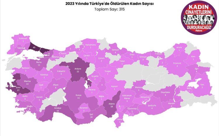 2023 kadın cinayetleri raporu: Türkiye haritası kanıyor