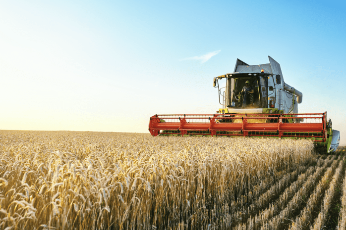 Türkiye ilk kez buğday fiyatına endeksli sukuk ihraç etti