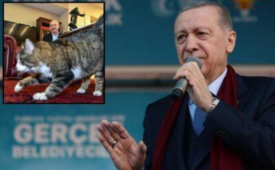 Erdoğan’dan CHP’ye ‘Kedi Şero’ göndermesi: Kapıdan içeri sokmayacaklar