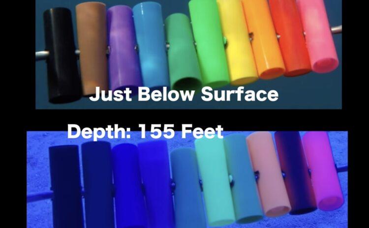 LGBT karşıtlarına iyi haber: Gökkuşağı renkleri suyun kaç metre altında kaybolur?