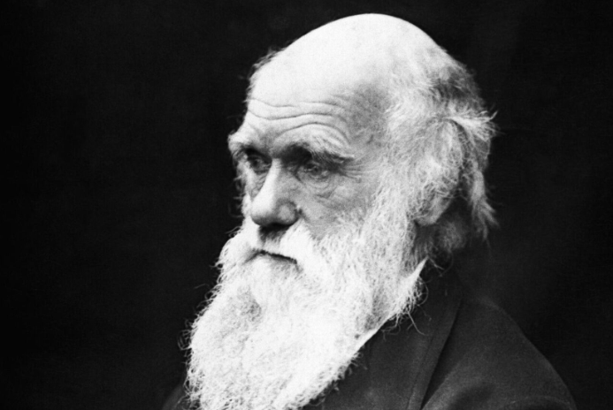 Kayıp kütüphanenin izinde 18 yıl: Darwin'in okuduğu kitapların hepsi ilk kez bir arada