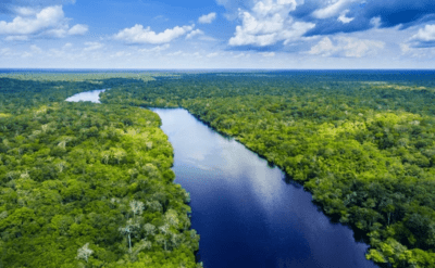Korkutan uyarı: Amazon ormanları 2050’ye kadar büyük yıkım yaşayacak