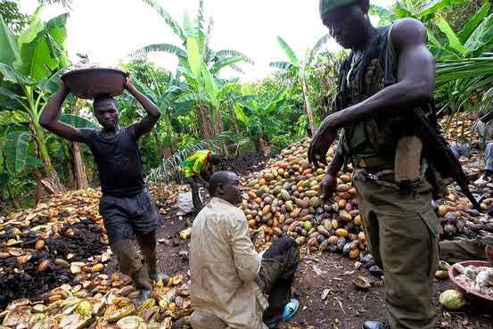 Kâr satışları kakao fiyatlarına deprem yaşattı