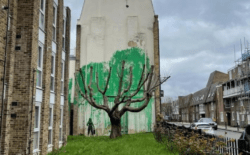 Banksy’nin ağacı plastik örtüyle korumaya alındı