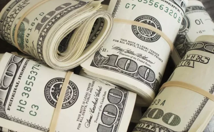 Hakan Kara: Merkez Bankası son bir ayda 20 milyar dolar sattı