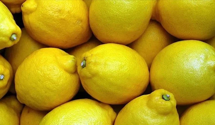 Martın zam şampiyonu limon oldu: Markette fiyatı 4,8 kat arttı