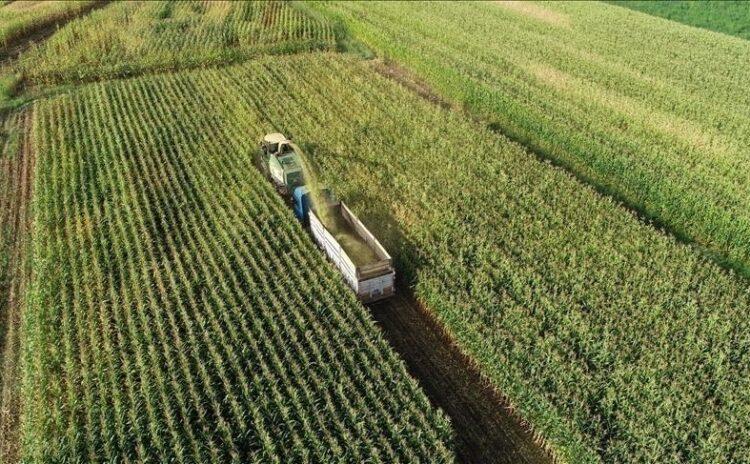 Betona gömülen bereket: Son 19 yılda 2.6 milyon hektar tarım arazimizi kaybettik