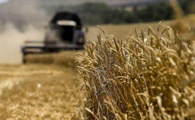 AB’den Rusya’ya tahıl hamlesi: Gümrük vergilerini artıracak