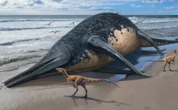 11 yaşındaki küçük kız 25 metrelik deniz sürüngeni fosili buldu