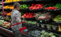 Rahatlatan rapor: Dünyada gıda fiyatları dibe vuracak, cüzdanlar rahatlayacak