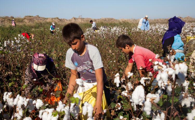 Atatürk'ün çocuklara armağan ettiği bayramda tarımda çocuk işçiler var