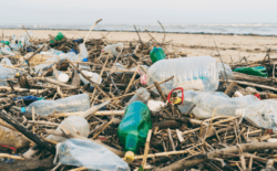 Dünyadaki bütün plastik çöplerin dörtte birinden sadece 5 şirket sorumlu