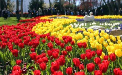 İstanbul’da bahar sevinci: Lale Bayramı başladı bile