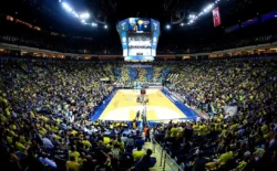 EuroLeague’de salonlar doldu, Belgrad ekipleri başı çekti