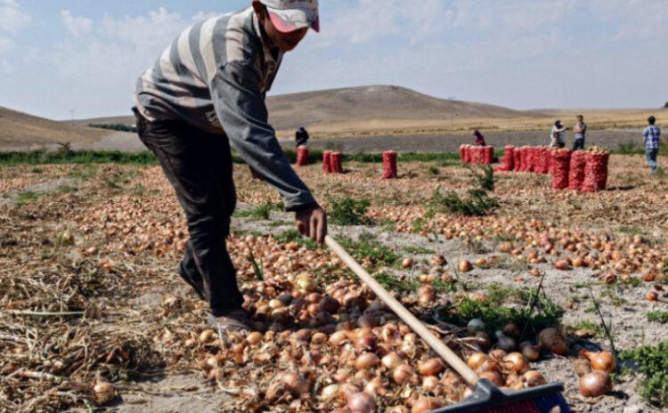 Okuldan mecburen ayrıldılar, çocuk işçi olarak çıktıkları yolda öldüler