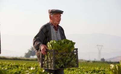 Türk tarımının geleceği açısından karamsar veriler: Çiftçi yaşlanıyor ve üretimi de ancak borç alarak yapabiliyor