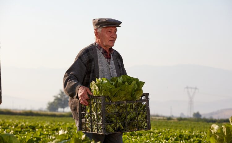 Türk tarımının geleceği açısından karamsar veriler: Çiftçi yaşlanıyor ve üretimi de ancak borç alarak yapabiliyor