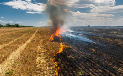 Önlenemeyen bir felaket: Anız yangınları