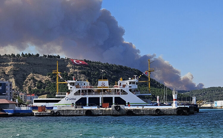 Çanakkale'deki yangın nihayet kontrol altında ancak Uşak, İzmir ve Manisa'da alevle mücadele sürüyor