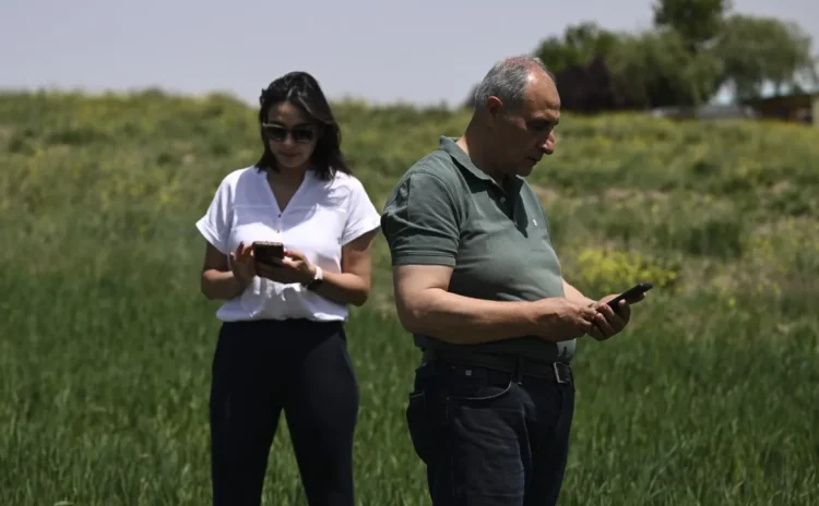 Yapay zeka 'Toprağın Sana Yeter'le çiftçiye yol haritası sunuyor