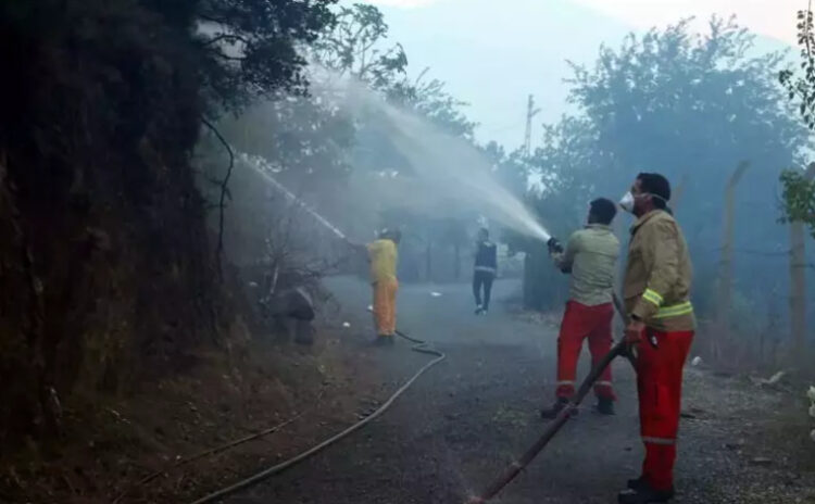 Adana'da iki günde 10 orman yangını: 'Hava zaten sıcak, çok daha dikkatli olmalıyız'