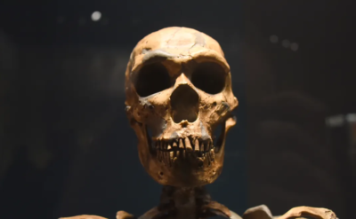 Neandertal genlerimizle otizm arasında bir bağlantı olabilir