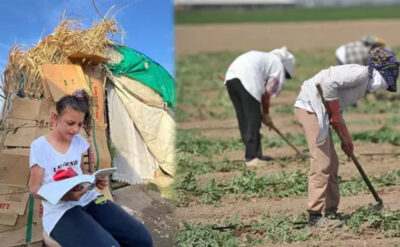 Mevsimlik çocuk işçiler ‘mesaiye başladı’: Tarlada çapa yapıp çadırda ders çalışıyorlar