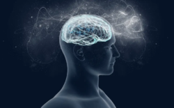 Laboratuvar ortamında üretilen yapay beynin bilinç kazanma ihtimali var mı?