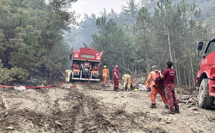 Ankara'dan Bolu'ya sıçrayan orman yangını kontrol altına alındı