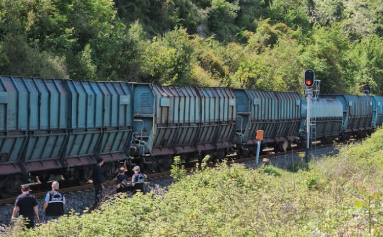 Demans hastası kadının hayatı tren rayında son buldu: Aileden ihmal iddiası