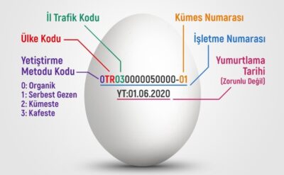 Sosyal medyadan yayılan bir şehir efsanesi daha: Yumurtanın üzerindeki sayılar ilaçlı olduğunu mu gösteriyor?