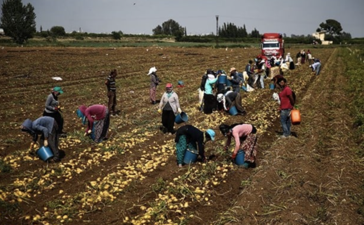 Bu ne yaman çelişki: Bir yanda derin işsizlik var, bir yanda patronlar göçmen işçi istiyor