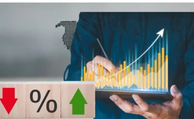 IMF’nin tahmini OVP’den yüksek: Enflasyon bu yıl yüzde 43, seneye yüzde 24 olacak