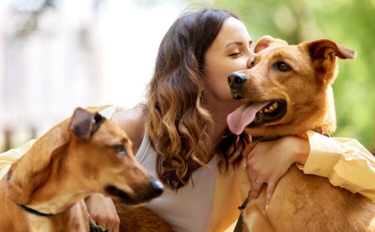 Köpek sahipliği patladı; Amerikalılar can dostlarına yılda 147 milyar dolar harcıyor