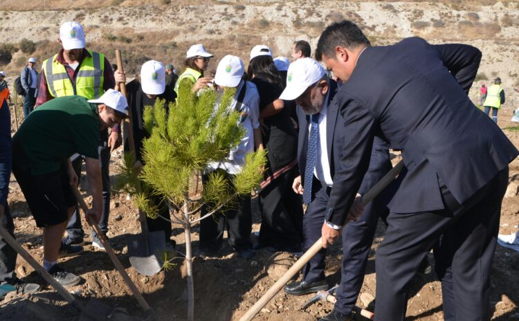 Akbelen ormanını kesip maden yapan şirket şimdi 511 hektarlık eski maden alanına ağaç ekiyor