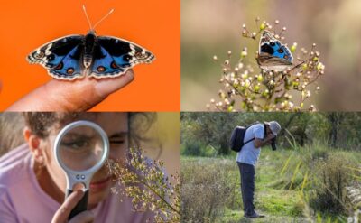 Çekmeye doyum olmaz: Amatör fotoğrafçılar ‘Dicle Güzeli’nin peşinde