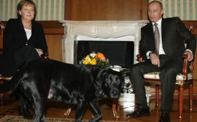 Putin’in ‘güç oyunları’: Köpekten korkan Merkel’i labradoruyla nasıl karşıladı?