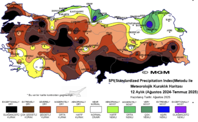 Kuraklık haritasına bak, gıda enflasyonunu tahmin et