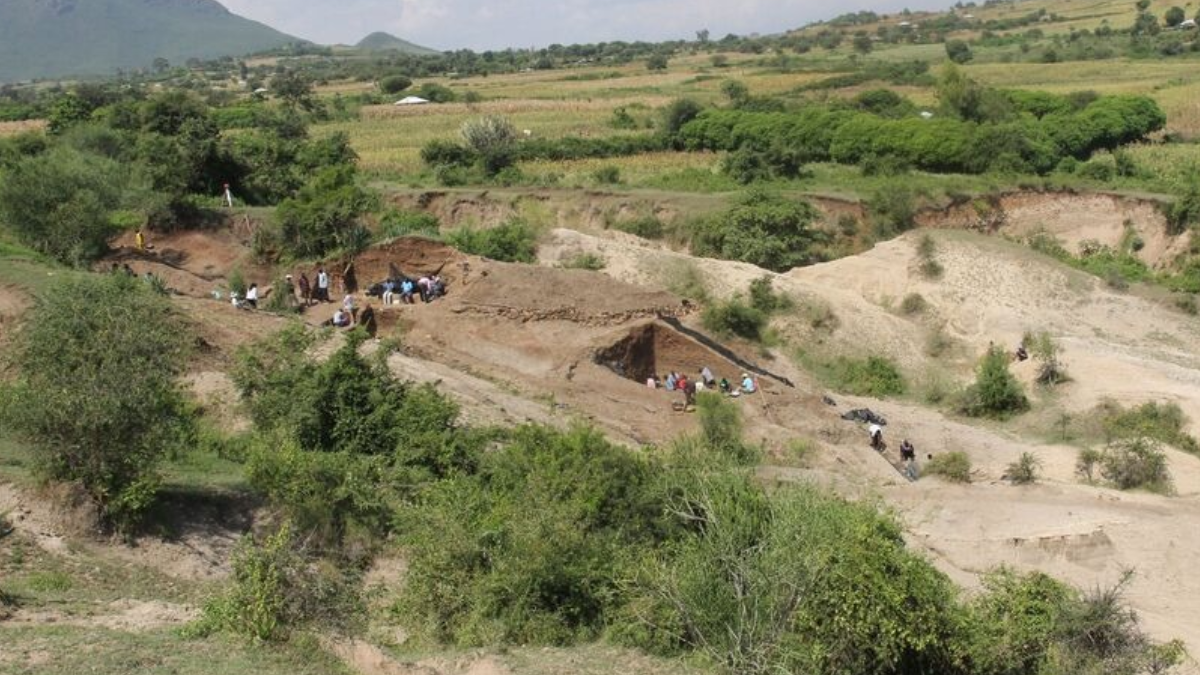 İnsanlık tarihini 500 bin yıl daha geri götüren müthiş bir keşif
