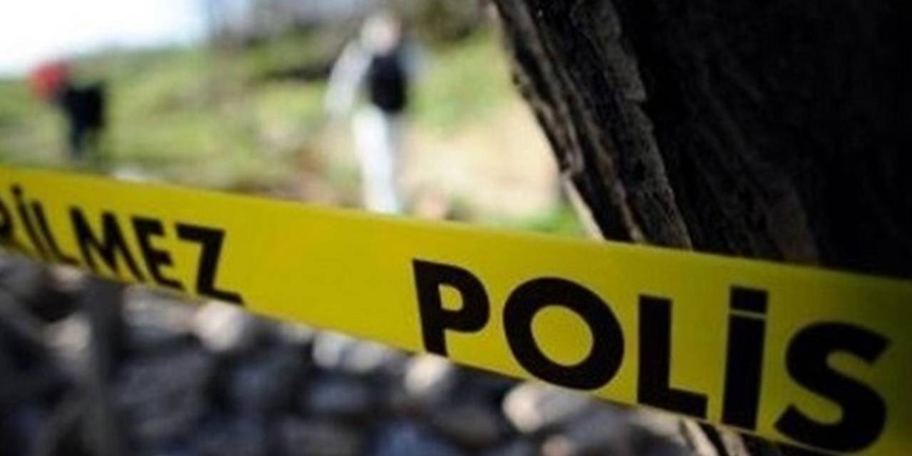 Ava çıktı, domuz saldırısında hayatını kaybetti