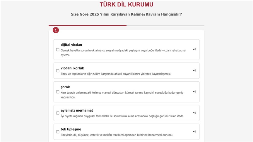 2025 Yılının beş ‘resmi’ kelimesi/kavramı: Seç beğen al!